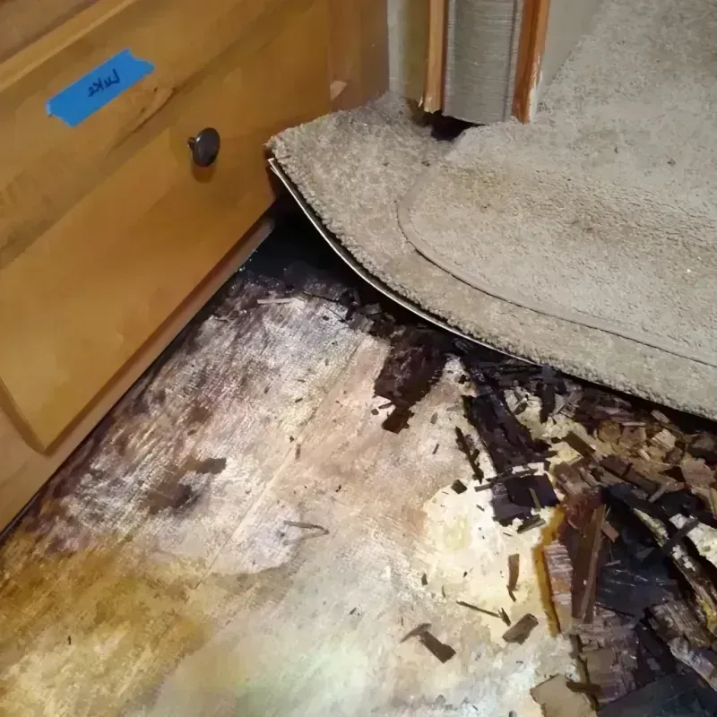 Wood Floor Water Damage in Oak Lawn, IL